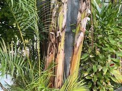 -观唐（国际）度假村温泉