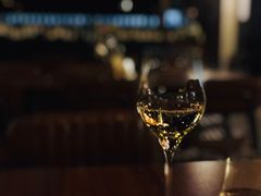 -Wine Universe 宇宙酒馆