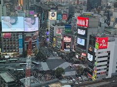 -涩谷全向十字路口
