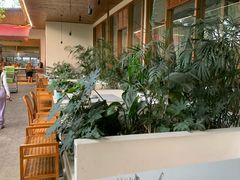 -三圣花乡旅游区