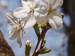 -星湖街(地铁站)