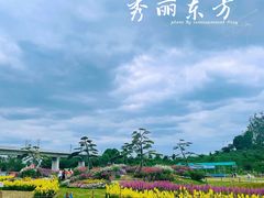 -秀丽东方