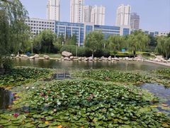 -丁家河公园