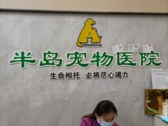 -半岛宠物医院24小时(科华中路店)