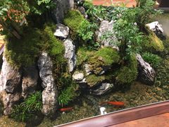 -森味薪火烧•烧鸟居酒屋•日本料理(望京店)