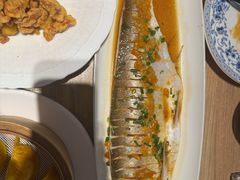 -连鹭海鲜·海肠捞饭·海胆饭(星海店)