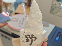 -野人先生现做冰淇淋(深圳壹方城店)