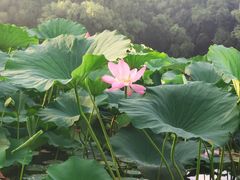 -长春市南湖公园