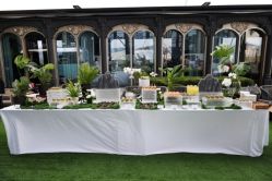 -金茂深圳JW万豪酒店·宴会厅