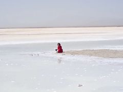 -青海茶卡盐湖文化旅游发展股份有限公司