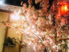 -锦上中式酒馆(南内环店)