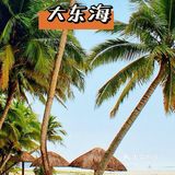 观景台360°俯瞰三亚,坐缆车也非常有趣