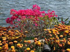 -荔湾湖公园