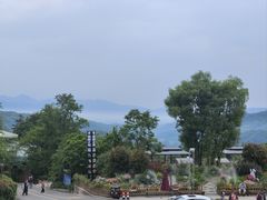 -碧峰峡风景区