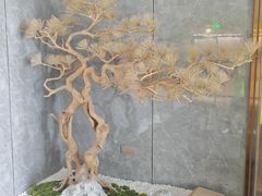 -澜韵·尊享柔式SPA(磐基店)