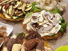 -易门野生菌府·菌海森林(月牙潭公园店)