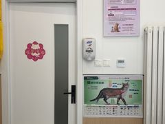-瑞派·关忠动物医院·猫专科·犬专科(三环新城店)