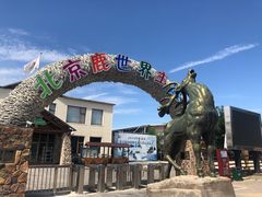 -北京鹿世界主题园