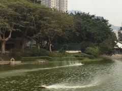 -屯门公园