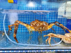 -前王院•巧克力海鲜市集餐厅(万平口店)