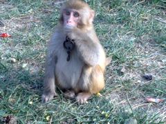 -南京金牛湖风景区