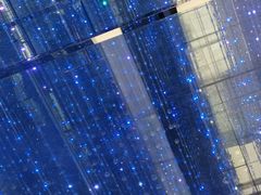 -深圳独角兽星空艺术馆