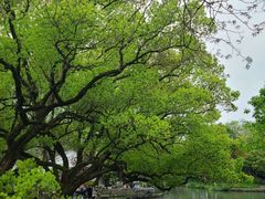 -西溪国家湿地公园