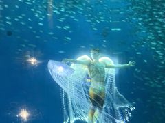 -合肥海洋世界
