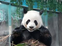 -栾川竹海野生动物园