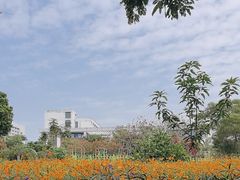 -华侨大学(厦门校区)