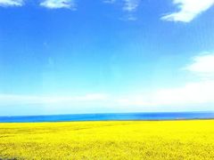 -青海湖国家重点风景名胜区