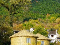 -塔川景区