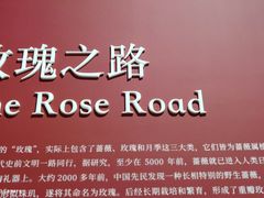 -德基艺术博物馆