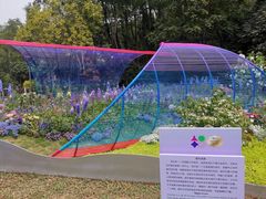 -深圳仙湖植物园