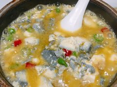 -肥猫(义乌万达店)