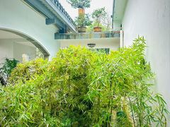 -杭州植物园
