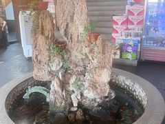 -都江堰石锅鱼