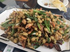 茉莉花炒洱海虾-白家寨子·山野白族菜(古城总店)