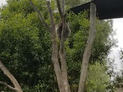 -威勒比开放式动物园