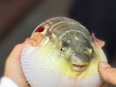 -永安鱼庄·镇江菜(东吴路店)