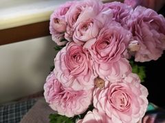 -双季花艺园艺市场(浦东店)