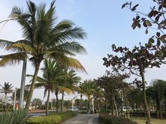 -白沙门生态公园