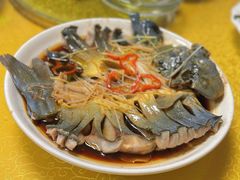 -煲来饱去冷水鱼