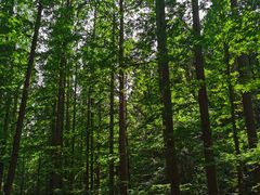 -北京西山国家森林公园