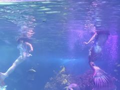-常州海昌海洋探索馆