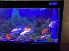 -宜昌富力皇冠假日酒店·咖啡1号西餐厅