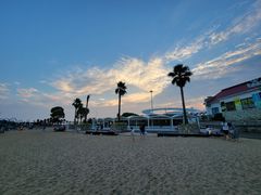 -碧海金沙