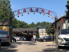 -区海鸡场饭店(石壁店)