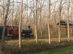 -合肥滨湖国家森林公园