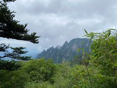 -秦岭风景区